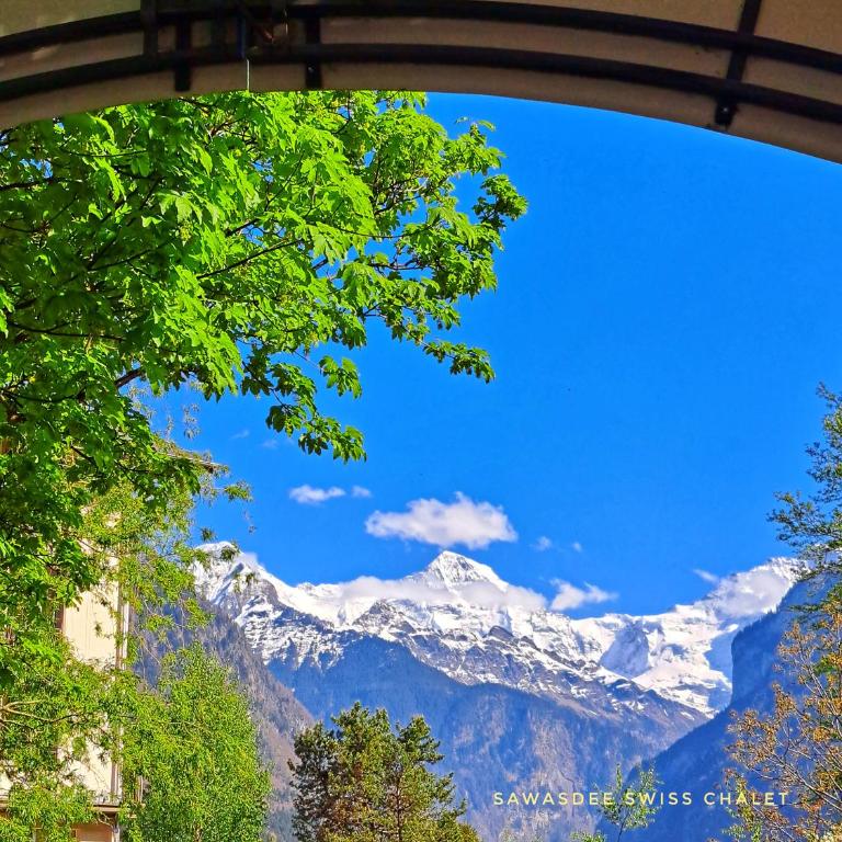 Sawasdee Swiss Chalet Wilderswil - Apartment mit 3 Schlafzimmern - 54