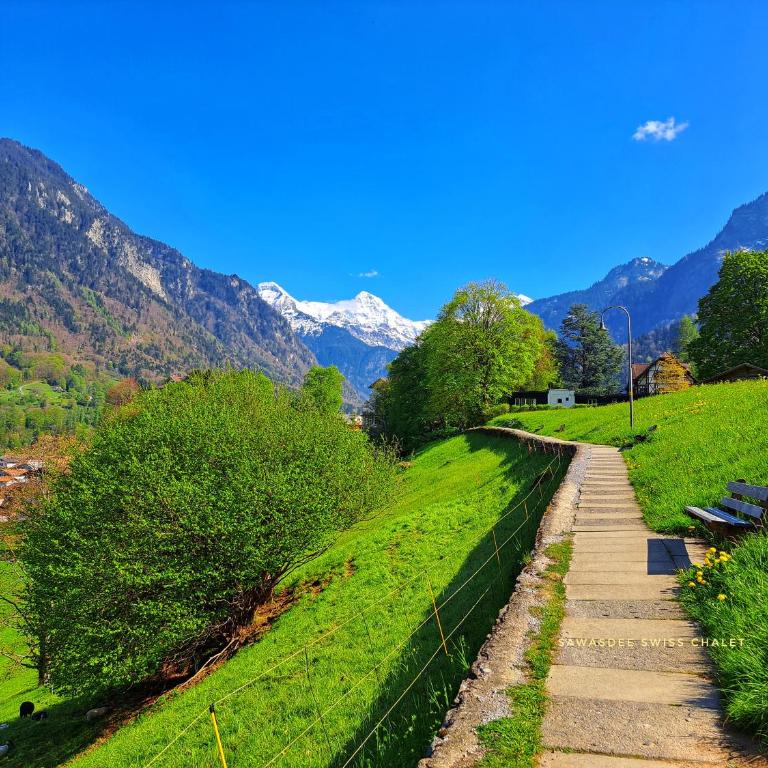 Sawasdee Swiss Chalet Wilderswil - Apartment mit 3 Schlafzimmern - 67