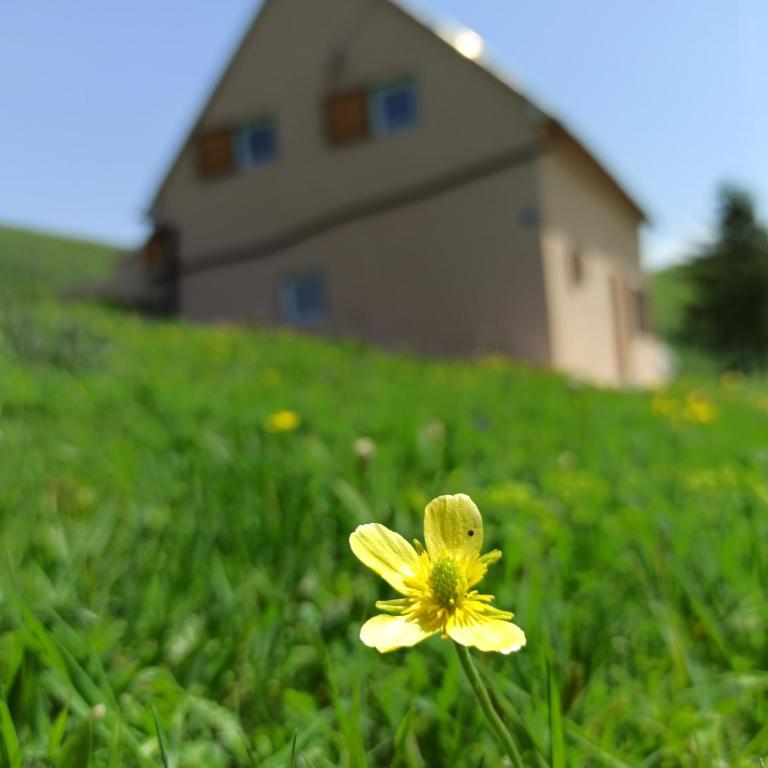 Villa Marija - Three-Bedroom House - 41