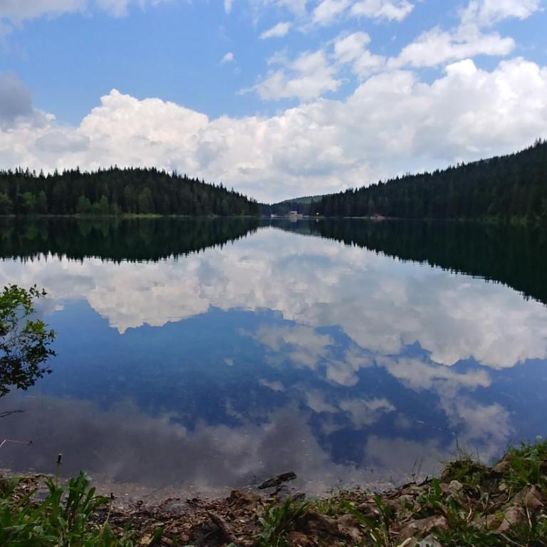 High Haven Durmitor - Two-Bedroom Chalet - 38