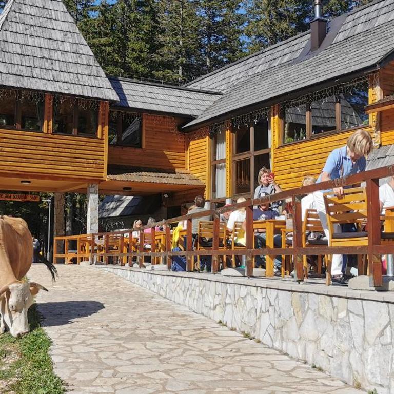 High Haven Durmitor - Two-Bedroom Chalet - 40