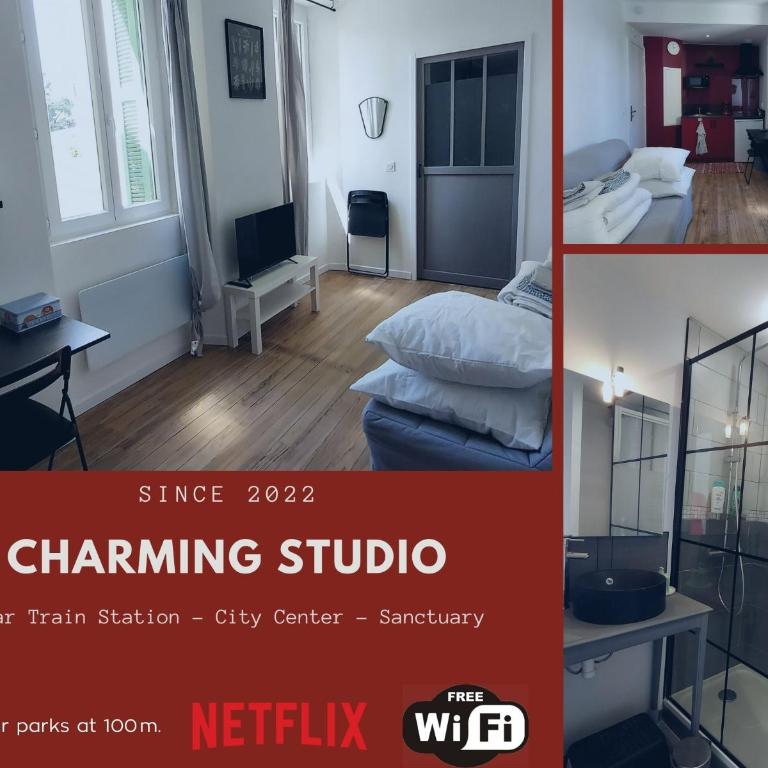 Charmant Studio proche Centre Ville et Gare - Apartment mit 1 Schlafzimmer - 29