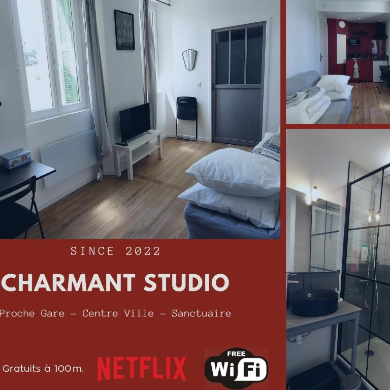 Charmant Studio proche Centre Ville et Gare - Apartment mit 1 Schlafzimmer - 12