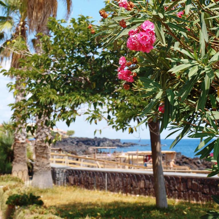 Casa Limoni - Rifugio Siciliano tra Mare, Etna e Taormina - Appartamento Standard - 55