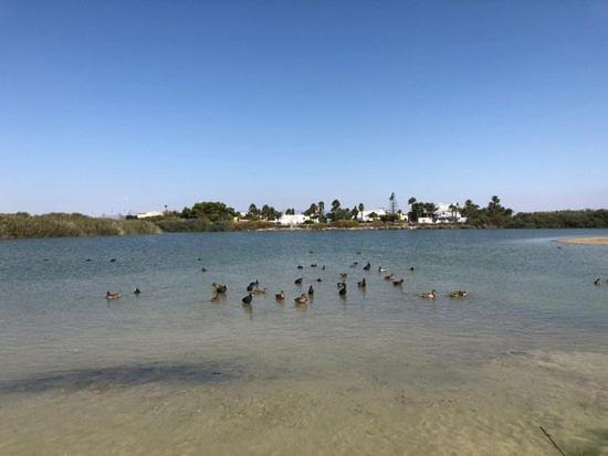Vera Jardín a 300 metros de la playa - Apartamento de 1 dormitorio - 25
