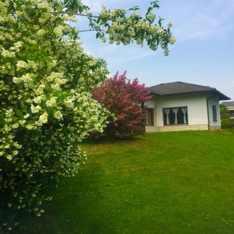 Paradiso sul lago - Casa - 32