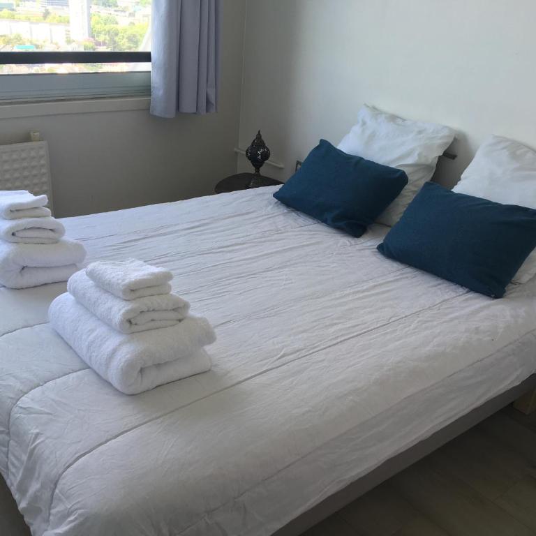 Rennes vue des Horizons - Apartment mit 1 Schlafzimmer - 32