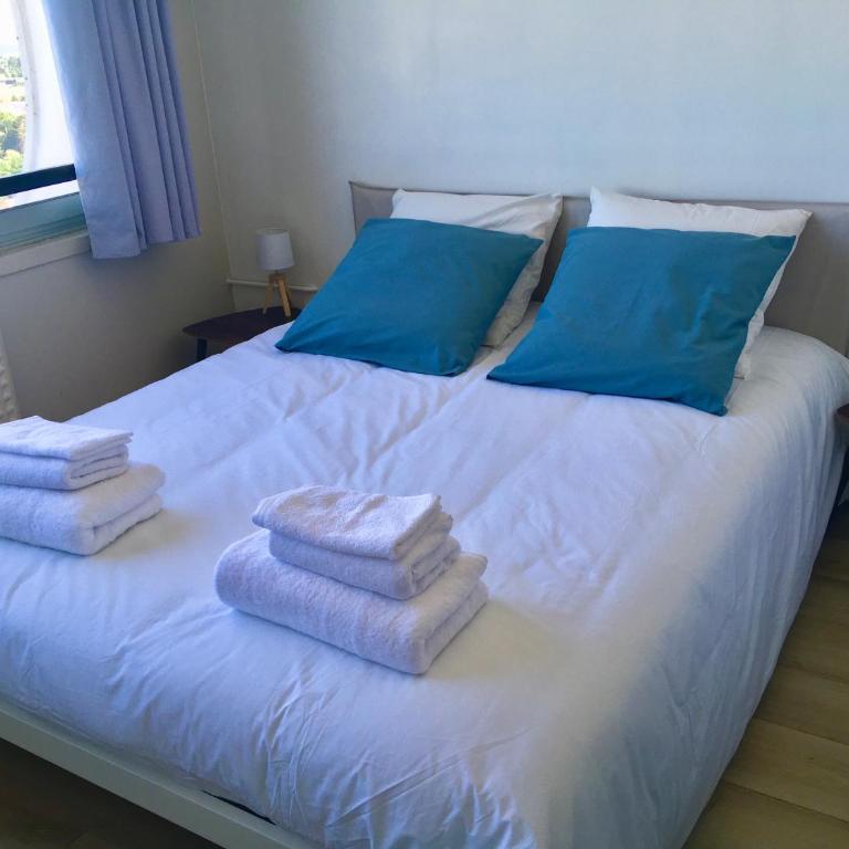 Rennes vue des Horizons - Apartment mit 1 Schlafzimmer - 7