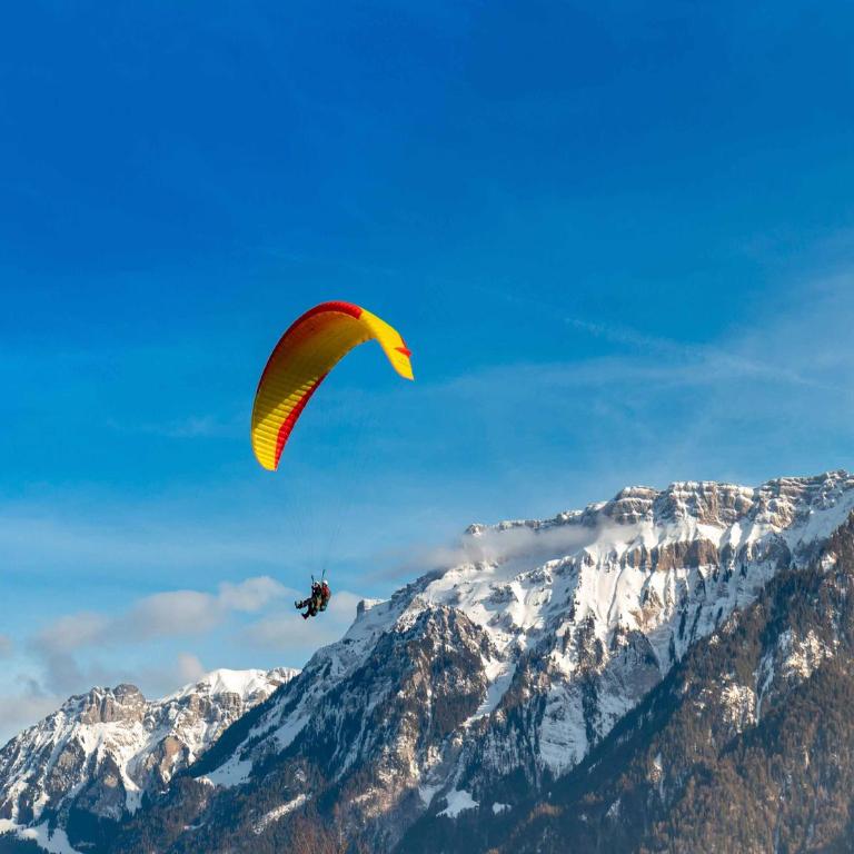 Bärghäsli im BEO als Basis im Wintersportgebiet - Apartment - Erdgeschoss - 33