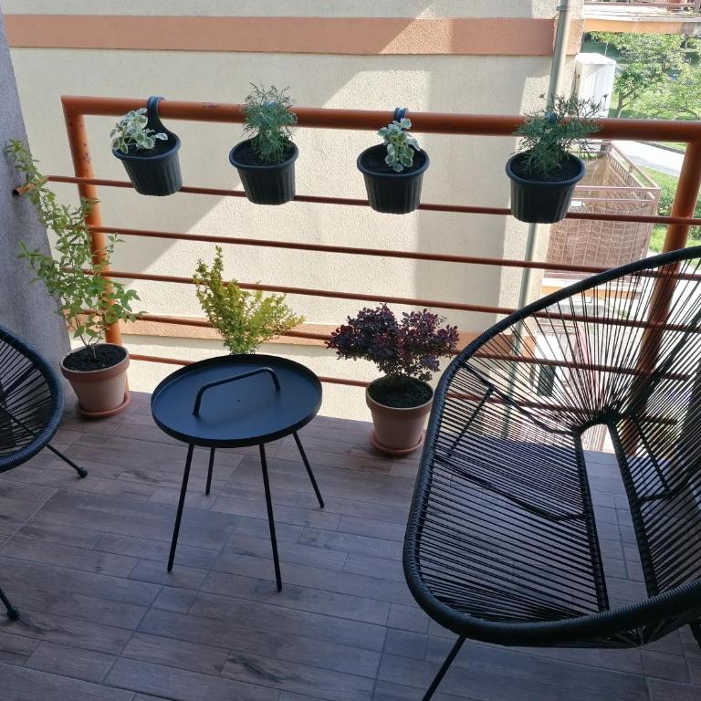 KoKo apartman - Apartman sa 1 Spavaćom Sobom - 7