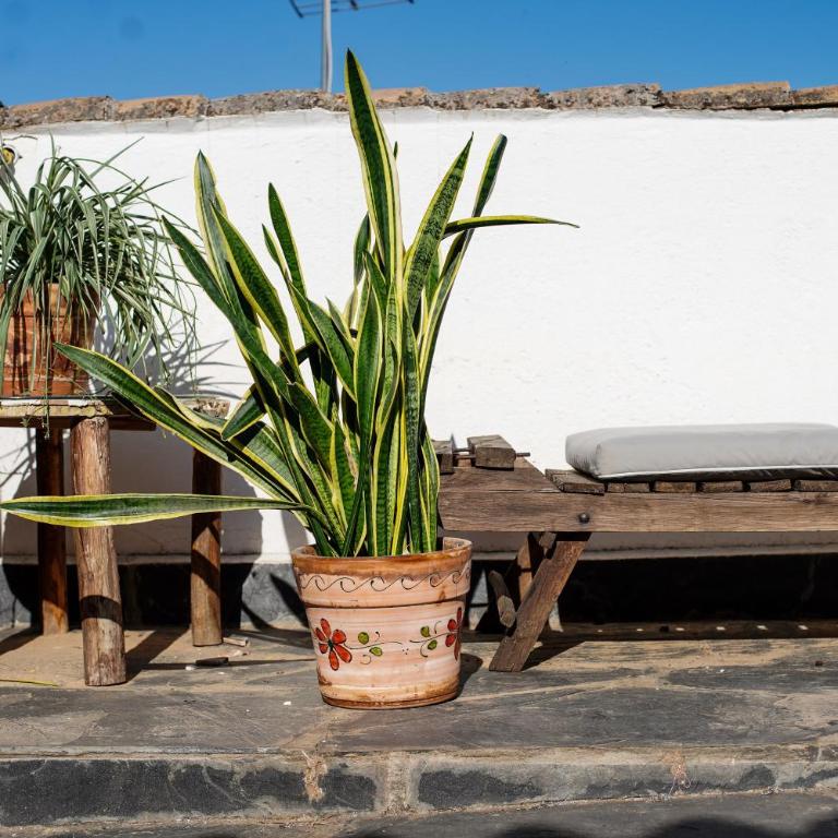 Casa Po - Double or Twin Room with Terrace - 19