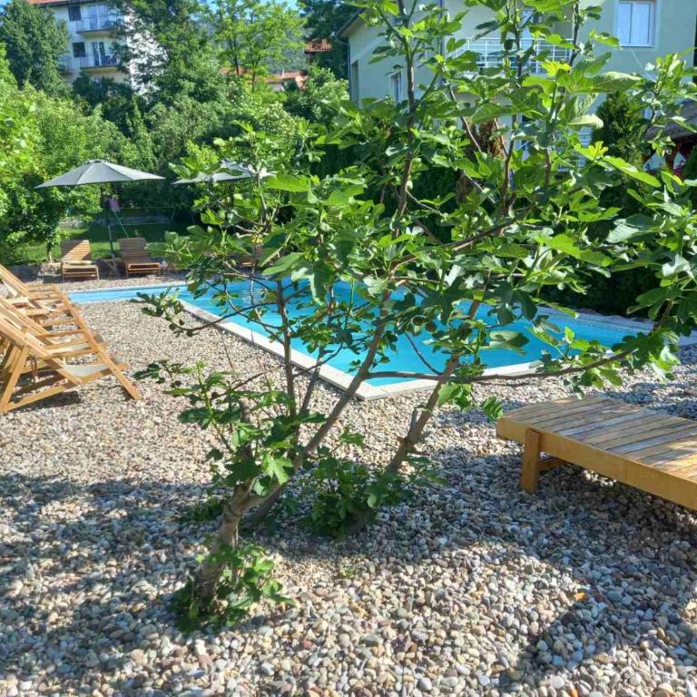 Apartmani ,,Vasa ,, 2 - Apartman sa 1 Spavaćom Sobom - 14