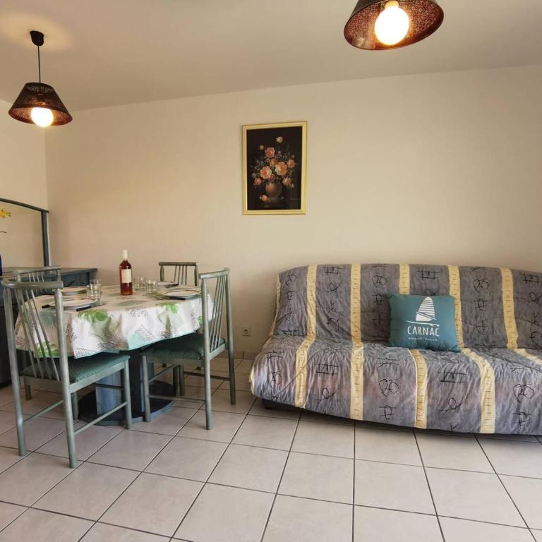 Carnac - Appartement 2 pièces avec terrasse, piscine et parking privé, à 400m de la plage. - FR-1-477-123 - Appartamento (4 Adulti) - 5
