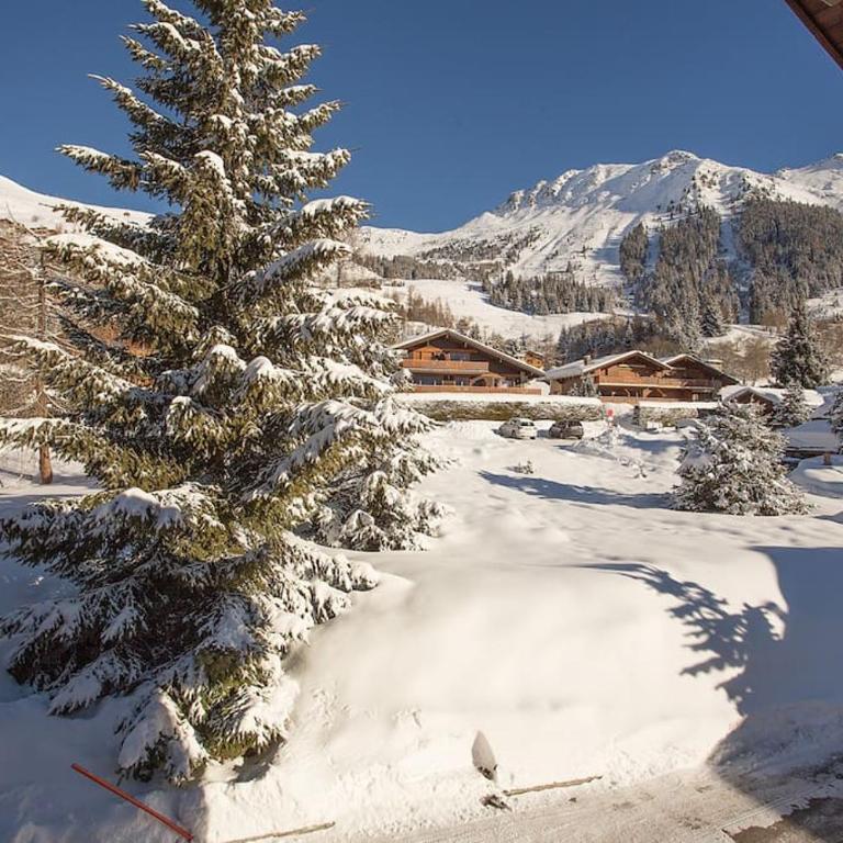 Verbier Sunny apt, fabulous view & balcony, sleeps 8 - Appartement 3 Chambres - 7