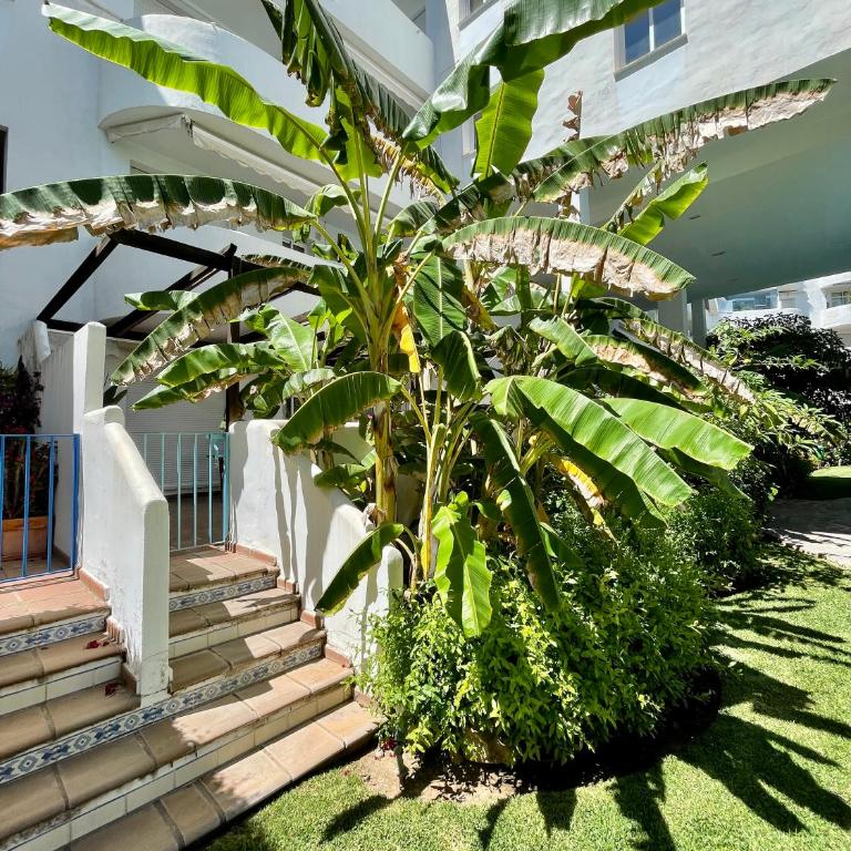 Marbella Real Golden Mile -EaW Homes - Apartamento de 2 dormitorios - 43