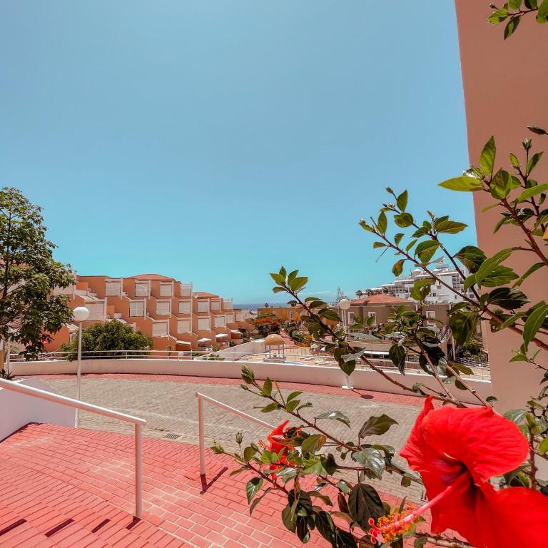 Orlando, center of Las Americas LA205 - Apartamento de 1 dormitorio - 35
