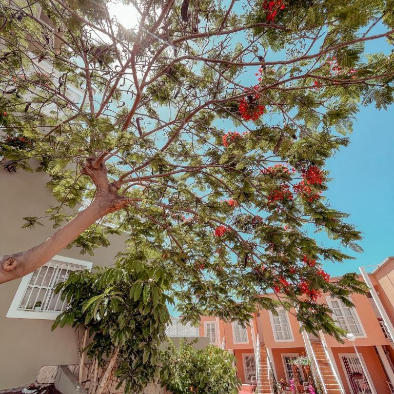 Orlando, center of Las Americas LA205 - Apartamento de 1 dormitorio - 52