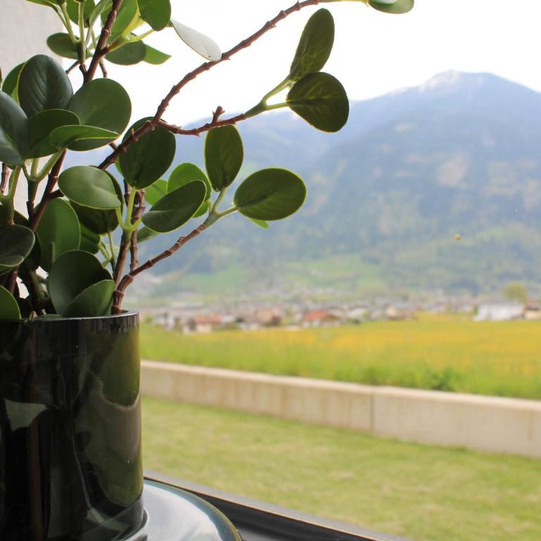 TheView Ahorn - Apartment - Erdgeschoss - 6