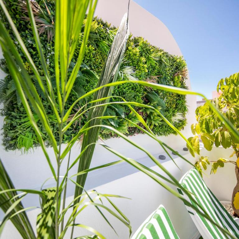 MEDANO4YOU The Jungle Terrace - Apartamento de 1 dormitorio - 34