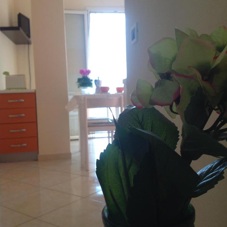 Agriturismo da Luì - Appartamento con 1 Camera da Letto - 4