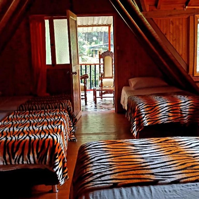 Hotel Cabañas JC - Habitación Familiar - 7