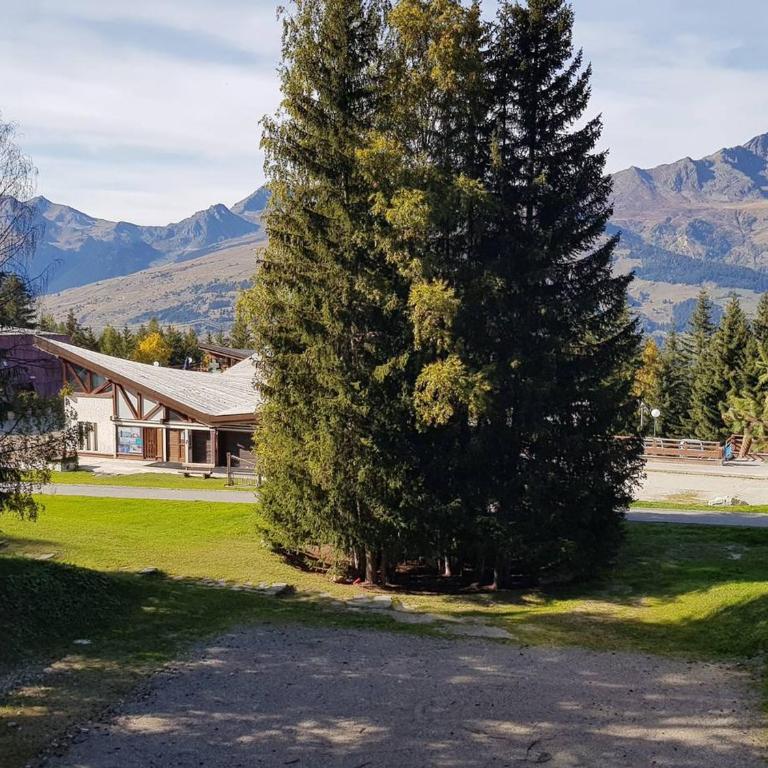 Studio fonctionnel, animaux OK - 5 pers., vue montagne - FR-1-411-469 - Studio - 19