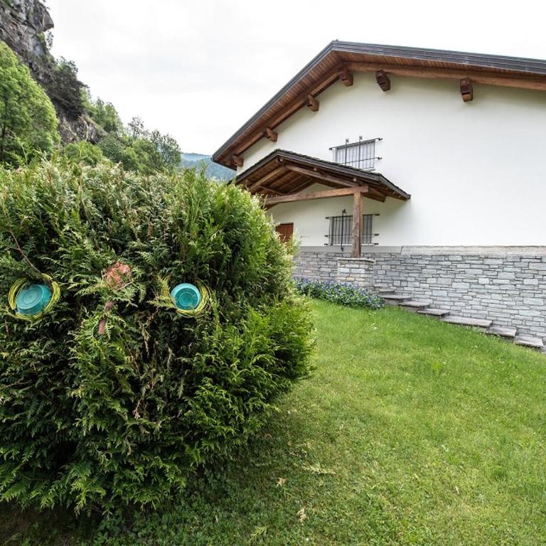 The Green Owl - Villa con 3 Camere da Letto - 88