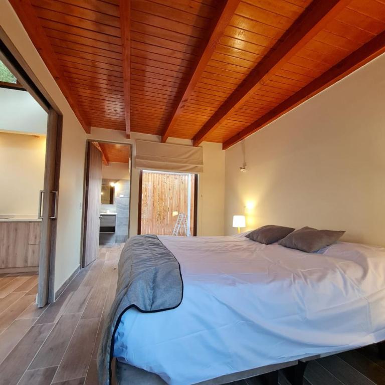 Aldea del Valle - Elqui Villas, Pisco Elqui - Villa Deluxe - 3