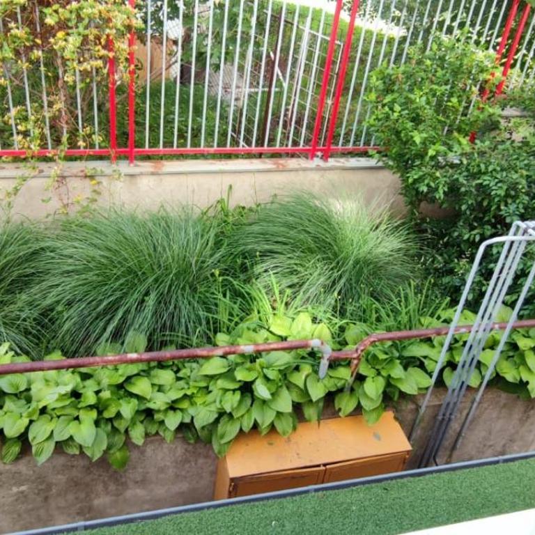 Apartman Želja - Appartement 1 Chambre - 32