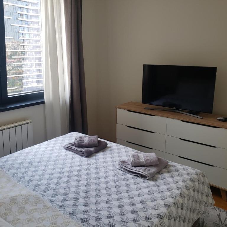 B-G Waterfront Apartment - Apartman sa 1 Spavaćom Sobom - 21