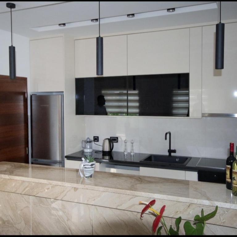 Apartmani Aleksic - Apartman sa 2 Spavaće Sobe - 10