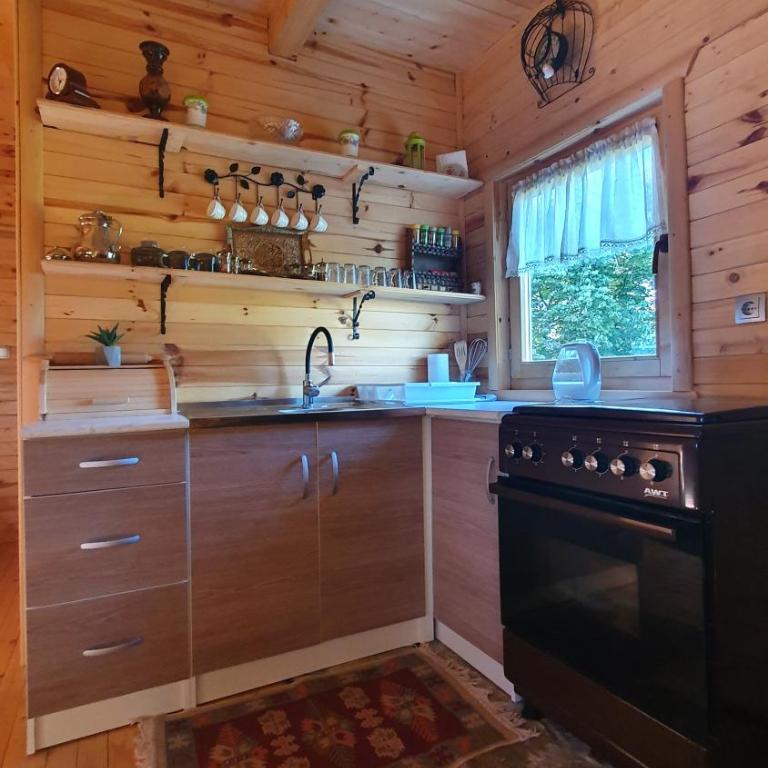 Drvena vikendica Teodora - Two-Bedroom Apartment - 23