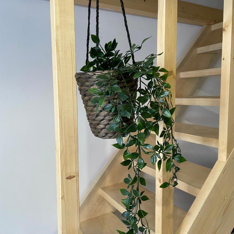 Benedettini Home - One-Bedroom House - 11