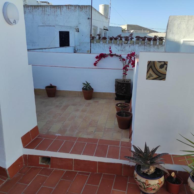 ISAMAR Apartamentos - Apartamento con terraza - 9