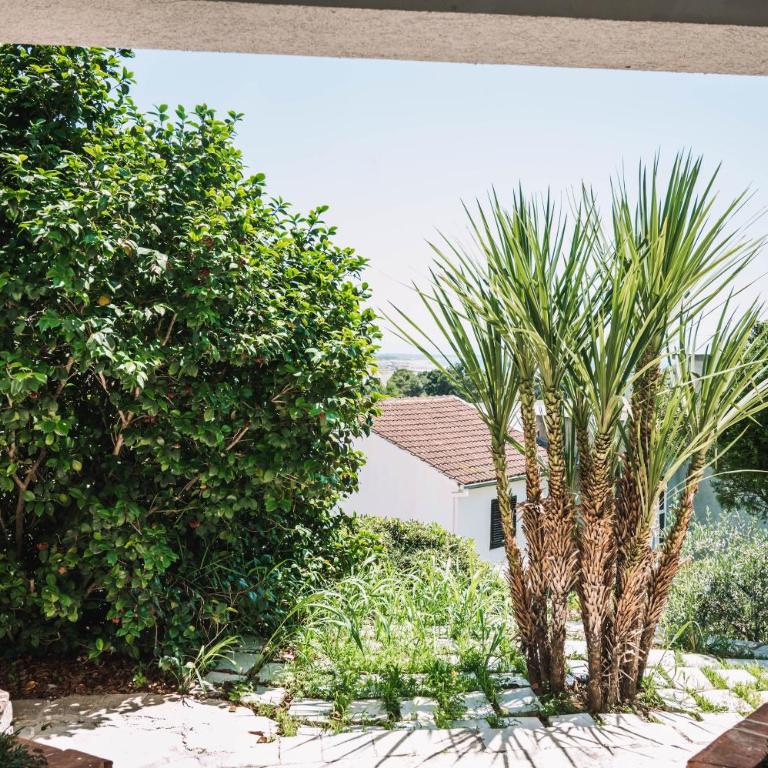 Bivalvia Apartments - Two-Bedroom Apartment with Terrace and Sea View - 14