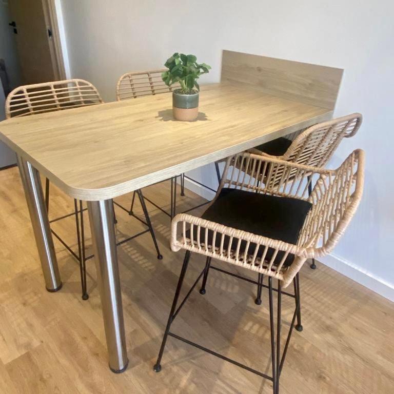 Superbe appartement avec grande terrasse - Appartement 1 Chambre - 4