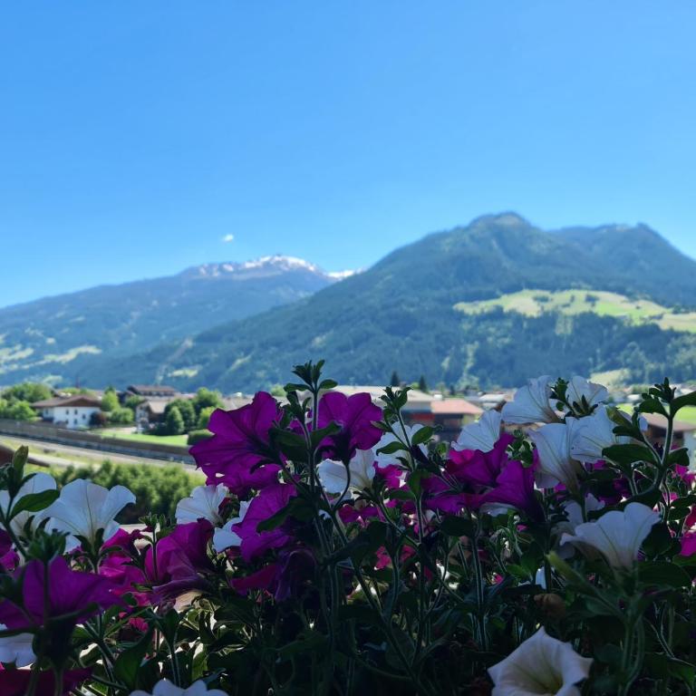 Hotel Alpenhof*** - Doppelzimmer - 17
