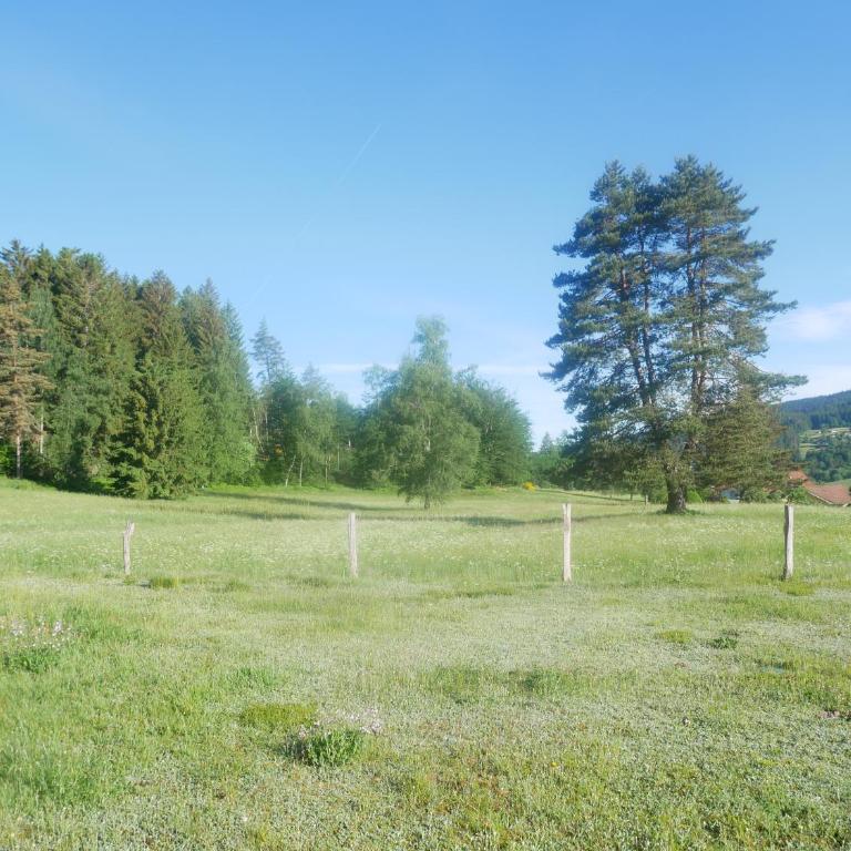 Le Bucheron au cœur du massif des Vosges 3 étoiles - Appartement 2 Chambres - 20