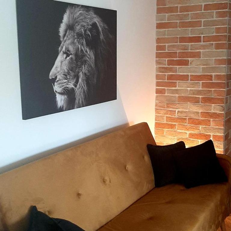 Ric Apartment Budva - Apartman sa 1 Spavaćom Sobom - 17