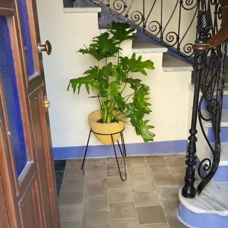 Romantic House spettacolare vista mare write whotsapp or call the number 377 5 NOVE 38723 - Double Room with Private Bathroom - 4