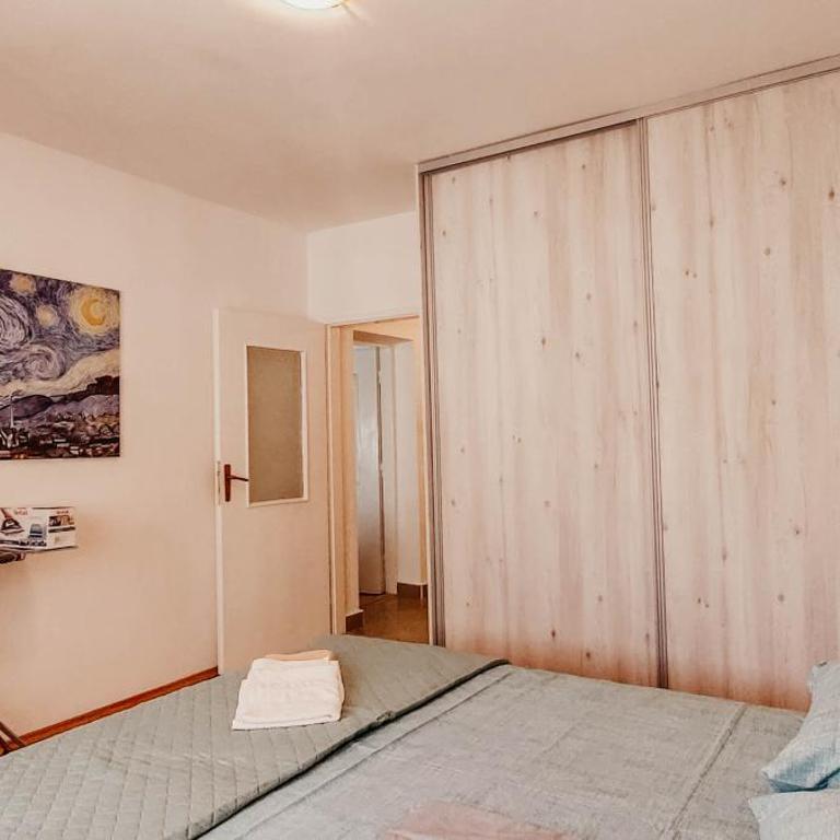 Apartment Bracovic - city center - Apartman sa 2 Spavaće Sobe - 22