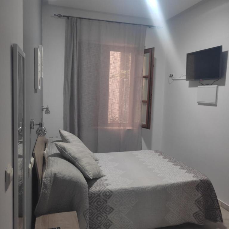 Hostal Puerta Carmona - Habitación Doble Estándar - 8
