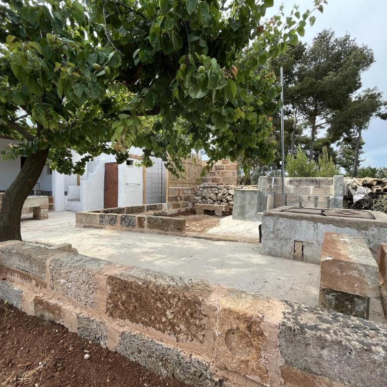Dimora Mimmi Marina di Mancaversa Gallipoli Lecce Salento Puglia - Casa con 2 Camere da Letto - 6