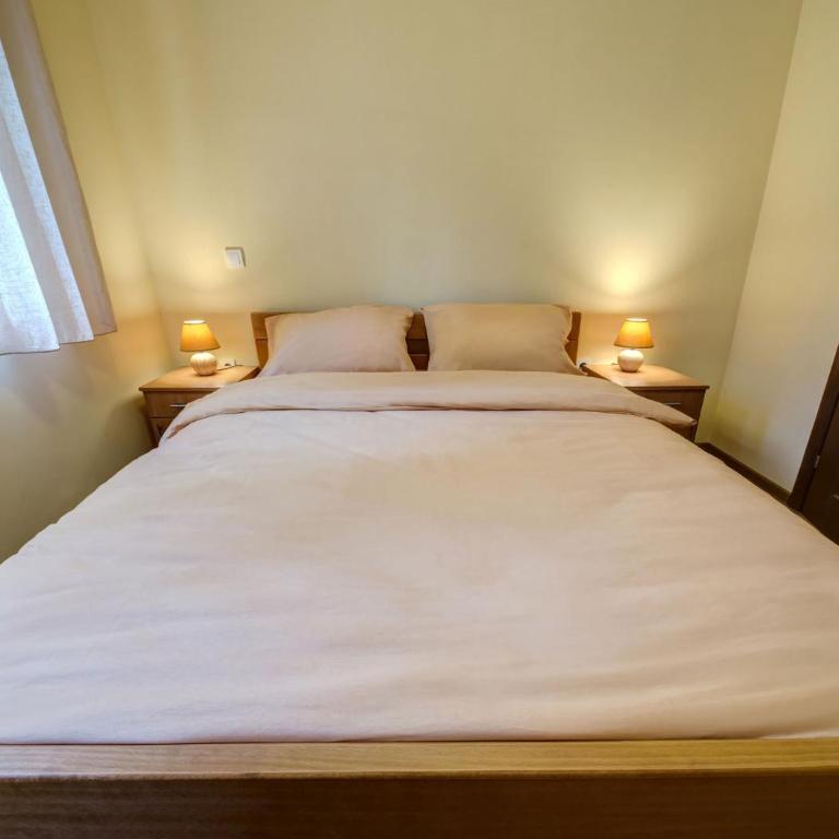 Apartmani Bijelic - Apartment with Terrace - 12