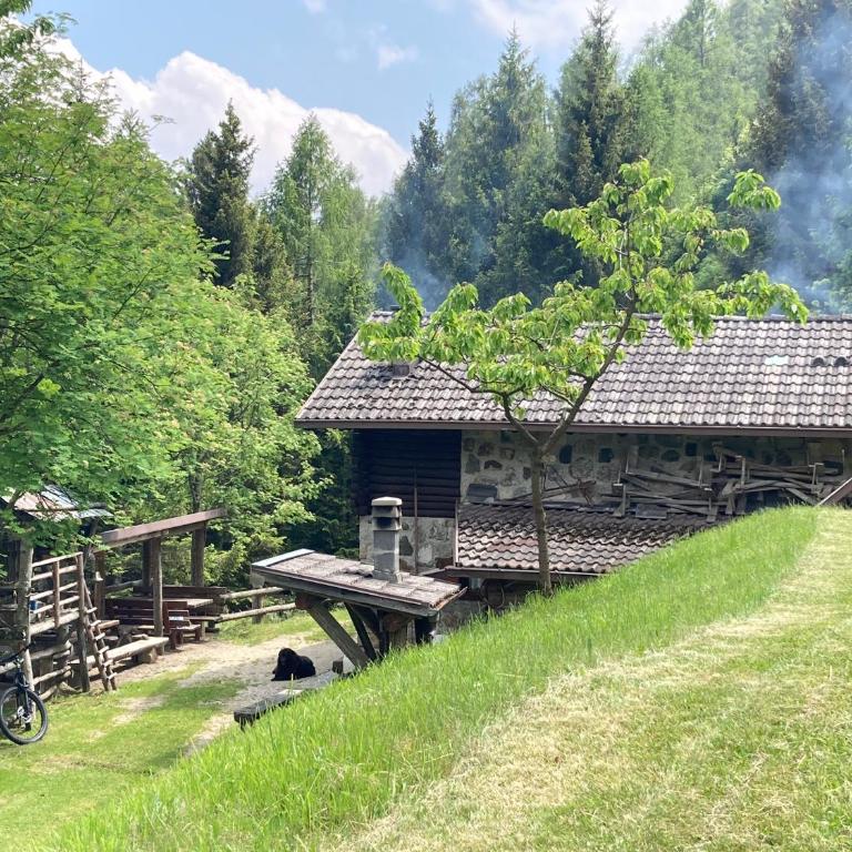 Baita Palue - Chalet con 2 Camere da Letto - 3