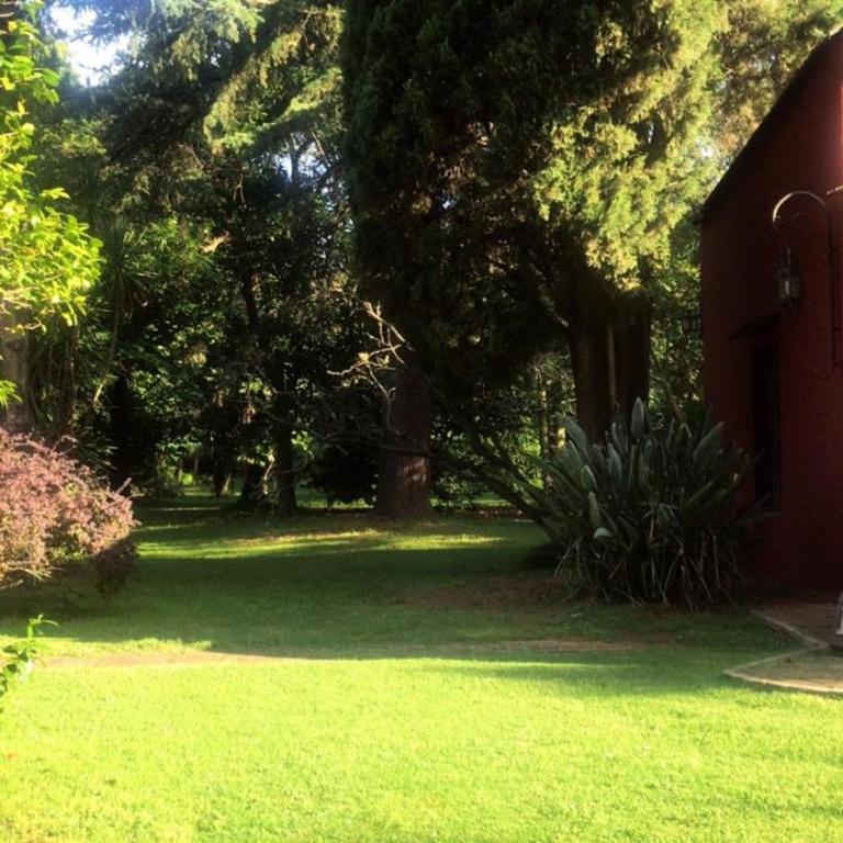 Los Pinos, cálida casa de campo en Tomas Jofre - Two-Bedroom House - 35