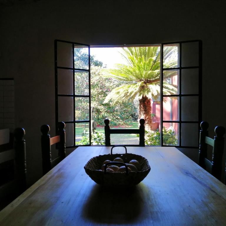 Los Pinos, cálida casa de campo en Tomas Jofre - Two-Bedroom House - 11