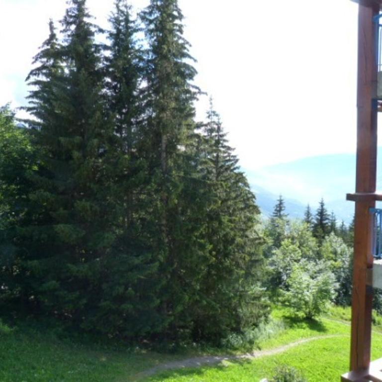 Appartement 2 pièces, 6 pers, animaux admis, Arc 1800 - FR-1-411-418 - Appartement (6 Adultes) - 6