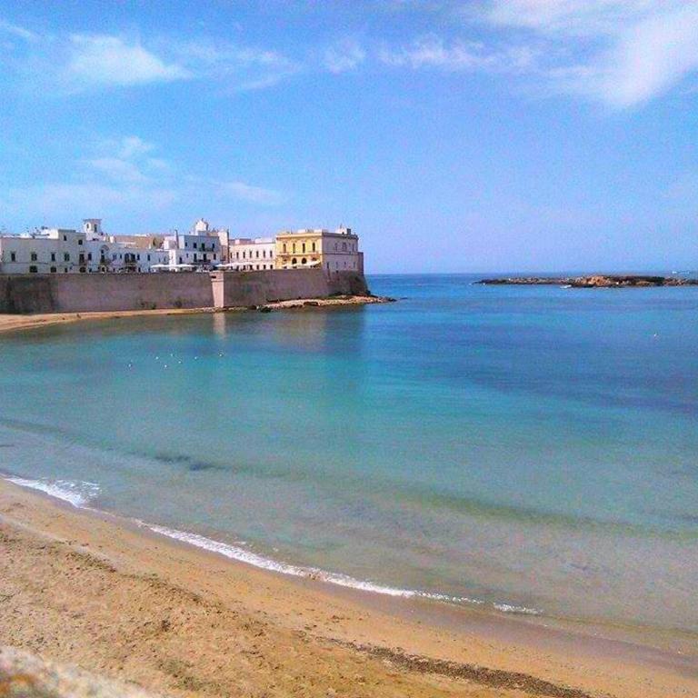 Cinque terrazze - Casa d'epoca con vista mare - Two-Bedroom House - 40