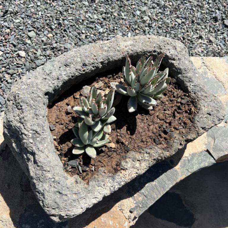 Casa rural con baño adaptado y piscina en Mogán - Apartamento de 2 dormitorios - 31